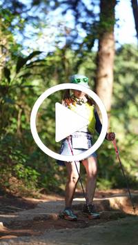 BIB:  <button type="button" onclick="openModal(26788083)" class="btn btn-primary btn-sm float-right" data-toggle="modal" data-target=".modal-high-quality">
                <i class="fa fa-download"></i> Download
                </button>